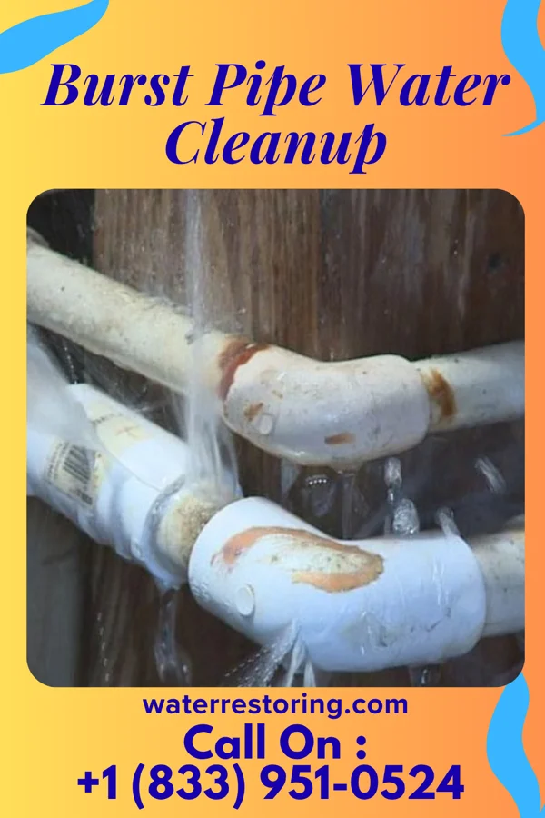 Burst Pipe Water Cleanup in Hellertown, PA