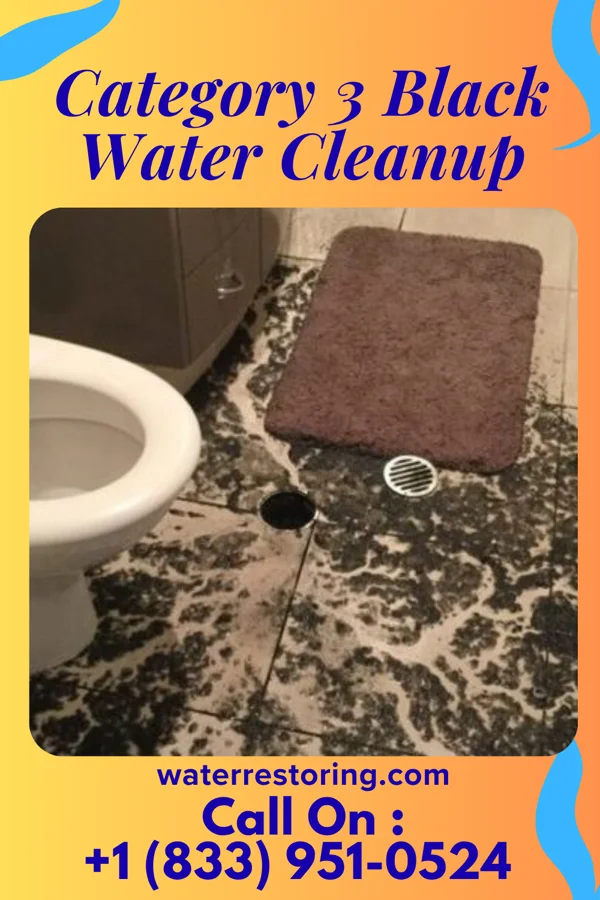 Category 3 Black Water Cleanup in Hellertown, PA