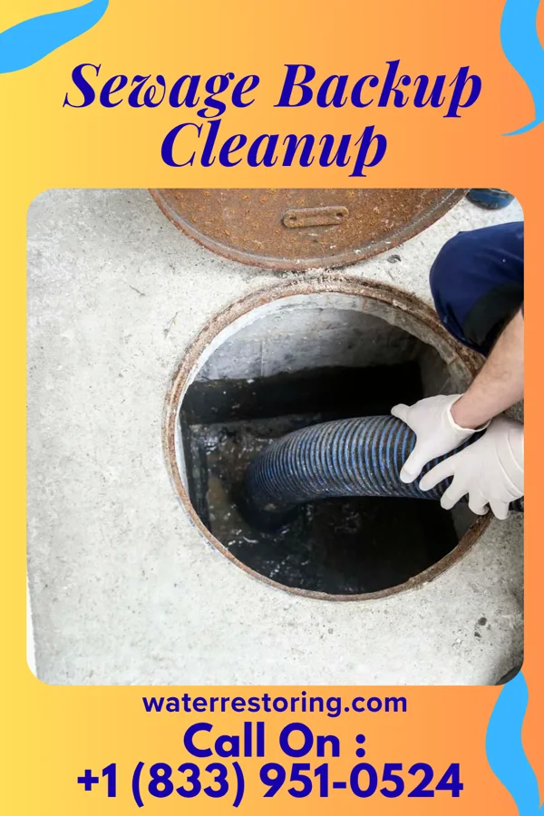 Sewage Backup Cleanup in Hellertown, PA