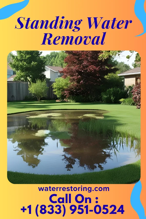 Standing Water Removal in Hellertown, PA